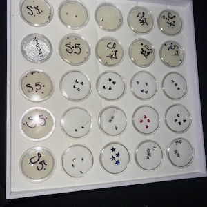 AiJani さんが購入した商品の写真を追加しました