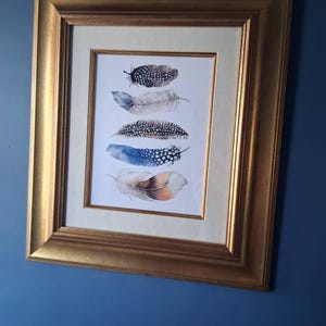 Nicky added a photo of their purchase