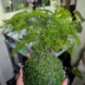 Acquirente Etsy ha aggiunto una foto del proprio acquisto