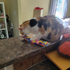 Mary added a photo of their purchase