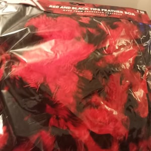 FDCGAS – Boa En Plumes Noir 120 Cm – Accessoire Déguisement Charleston, Années 20, Carnaval, Fierté, Marche LGBT