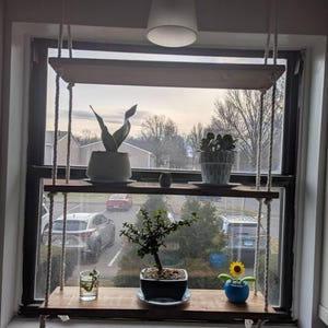 Shannon added a photo of their purchase