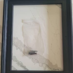 Linzee ha añadido una foto de su compra