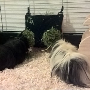 Pablo added a photo of their purchase