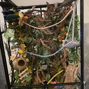 Beverly ha aggiunto una foto del proprio acquisto