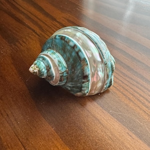 Cordelia added a photo of their purchase