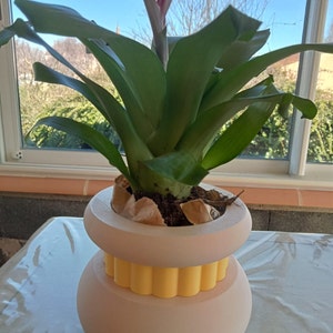 MJ added a photo of their purchase