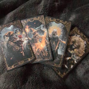 TerraStella added a photo of their purchase