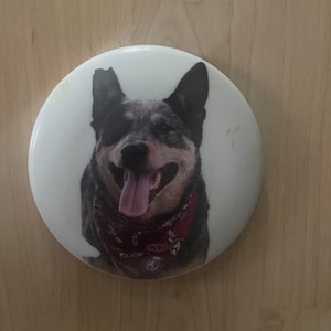 Chelsey さんが購入した商品の写真を追加しました
