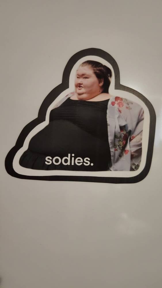 Amy Slaton magnet, 1000 lb sisters magnet, funny fridge magnet, sodies, TLC show, 1000 pound sisters, my 600 pound life, my bills are paid