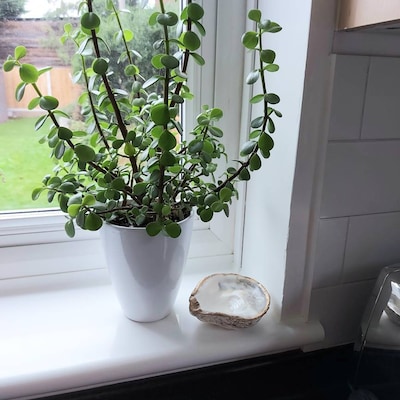 Knitted christmas pudding tree decorations