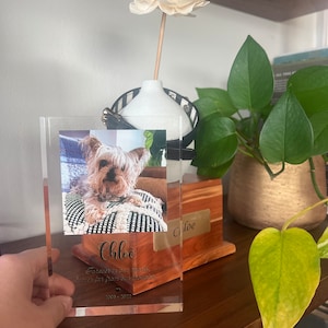 Elizabeth added a photo of their purchase