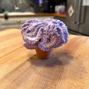 Val さんが購入した商品の写真を追加しました