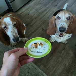 Alexa added a photo of their purchase