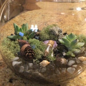 P added a photo of their purchase