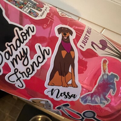 Lacey - Doberman Pinscher Puppy For Sale in Pennsylvania Lacey - Doberman Pinscher Puppy For Sale in Pennsylvania