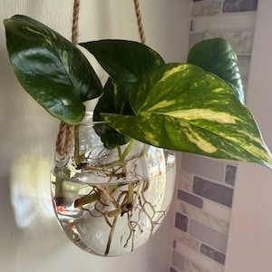 Laura added a photo of their purchase