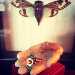 Mel added a photo of their purchase