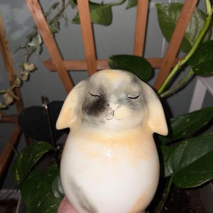 Tayah ha añadido una foto de su compra