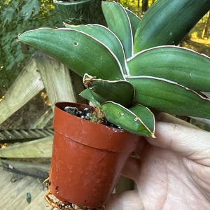 Julie added a photo of their purchase