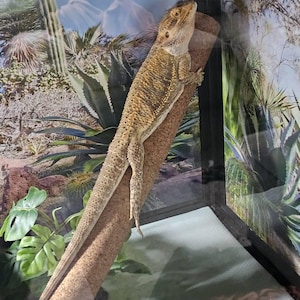 Elizabeth added a photo of their purchase