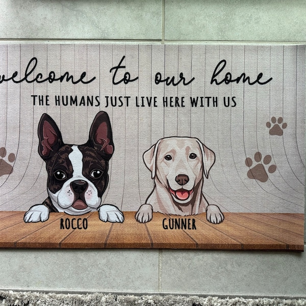 Polish christmas stars