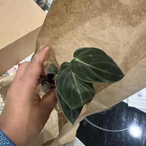 Lady added a photo of their purchase