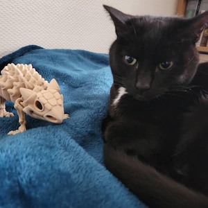 Marion heeft een foto van zijn/haar aankoop toegevoegd