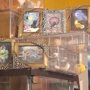 Betty added a photo of their purchase