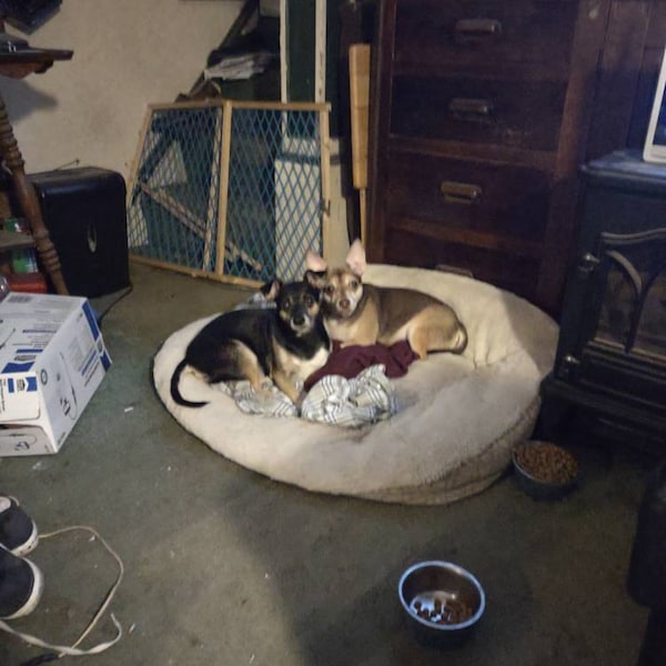 View Unicorns Jewelry by SharonBerkanDentART on Etsy