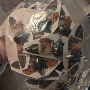 Jossy added a photo of their purchase
