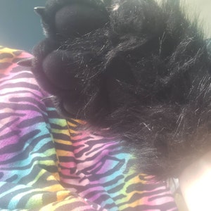 Maddox added a photo of their purchase