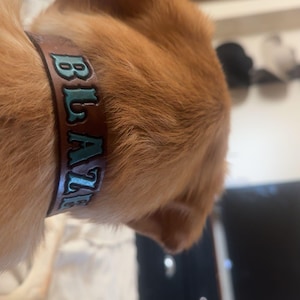 Jadyn added a photo of their purchase