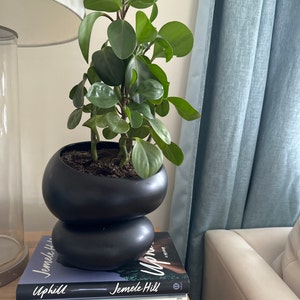 Light + Ladder: Fondra Self Watering Pot