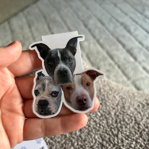 Alyvia added a photo of their purchase