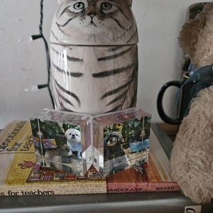 Hannah added a photo of their purchase