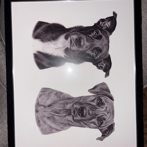Cody added a photo of their purchase