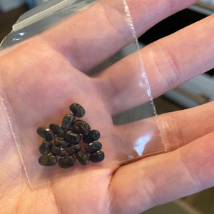 Kristie hat ein Foto des gekauften Artikels hinzugefügt