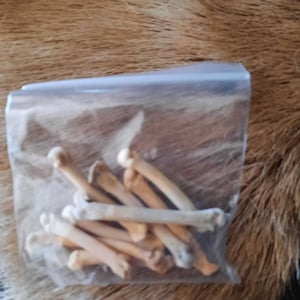 Karen added a photo of their purchase