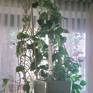 Rankhilfe fr Kletterpflanzen erweiterbar - Kletterhilfe - Monstera -  Efeutute - Philodendron - Etsy.de