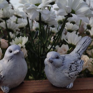 Mykola added a photo of their purchase