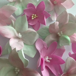 Cathy added a photo of their purchase