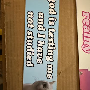 Alexee ha aggiunto una foto del proprio acquisto