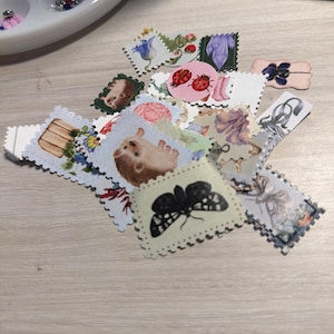 Karen added a photo of their purchase