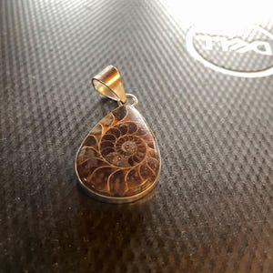 Peter added a photo of their purchase