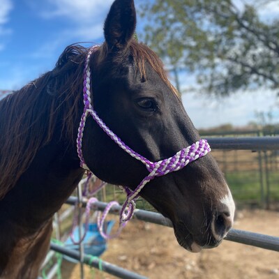 Cattle Rope Halter - Etsy