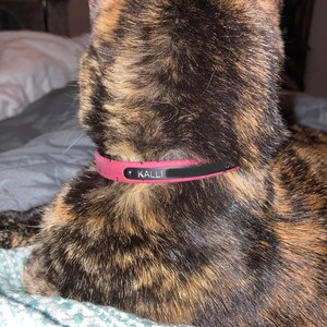 Samantha added a photo of their purchase