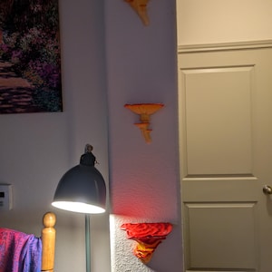 Holly heeft een foto van de aankoop toegevoegd
