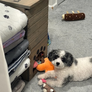 Lisa added a photo of their purchase