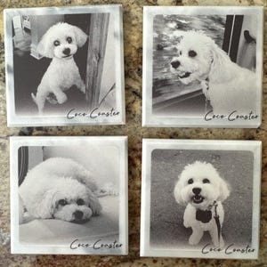 Brittany さんが購入した商品の写真を追加しました